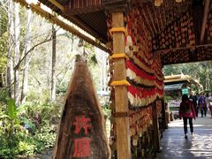 -莫里热带雨林景区