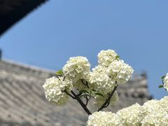 -花洲书院
