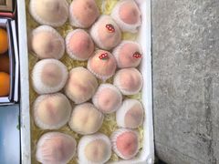 -南京众彩农副产品配送有限公司