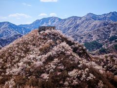 -龙泉峪长城