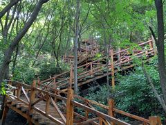 -大岭沟猕猴桃谷风景区
