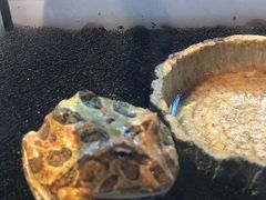 -昆明大悦城未来动物城(螺蛳湾中心店)