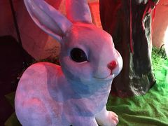 -青岛东方影都融创水世界