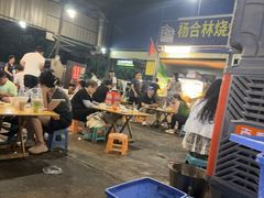 -杨合林啊兰烤鱼