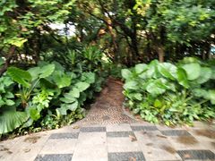 -黄埔荔枝公园
