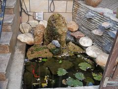 -天正河鲀·河豚亭(大连店)