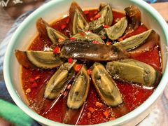 黑玉断续膏-风波庄(罍街分舵)