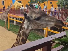 -西霞口神雕山野生动物世界