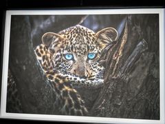 -罗红摄影艺术馆