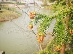 -龙寺生态园