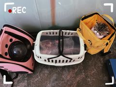 -德元·美联众合24小时动物医院(总院)