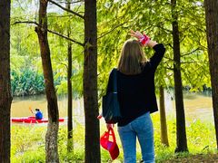 -上海长兴岛郊野公园