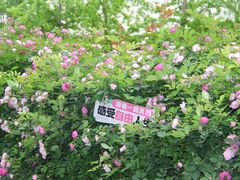 -南京眼步行桥