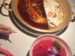 -小龙坎火锅(全球旗舰店)