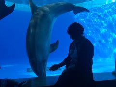 -西海国立公园九十九岛水族馆