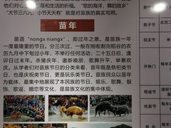 -西江苗族博物馆