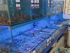 -江南村海鲜馆(洞头店)