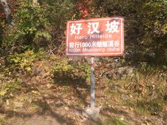 -雾灵西峰