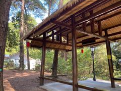 -三门江国家森林公园