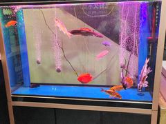 -老杨头烧烤(博烤堂店)