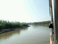 -大湾区中央湿地公园