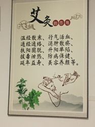 -伊人康尔養生晓晓屋
