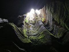 -梭布垭石林景区