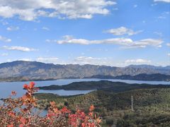 -开元食府(长兴路店)