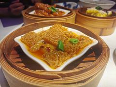 -点都德·毕德寮