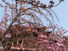 -西安青龙寺遗址景区