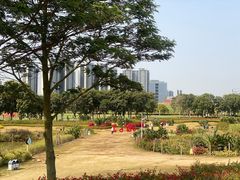 -光明小镇欢乐田园