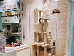 -猫小院猫主题餐厅(三里屯店)