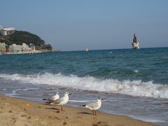 -海云台海滩
