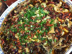 来凤鱼-新概念来凤鱼(璧山店)