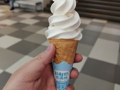 牛奶冰淇淋-盒马鲜生(财富中心店)