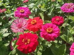 -名花谷生态庄园