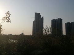 -广东花都湖国家湿地公园