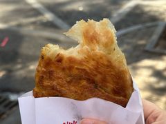 -老字号张道鸡火烧