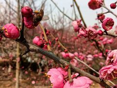 -白塘生态植物园