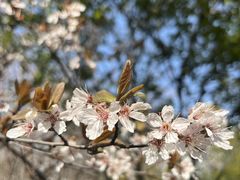 -白塘生态植物园