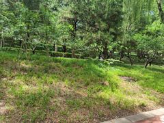 -南长河公园