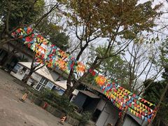 -巴山一绝烤全羊(三圣乡刘家花园店)
