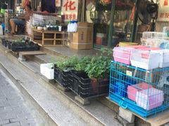-本溪路花鸟市场(江浦路1709弄小区店)