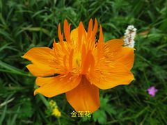 -白草畔自然风景区