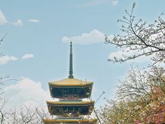 -东湖磨山景区