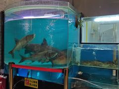 景观位-红日饭店(裕隆三路店)