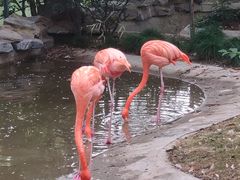 -上海动物园(地铁站)