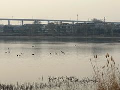 -绿堤公园