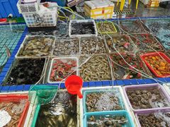 -霞涌市场海鲜摆卖区