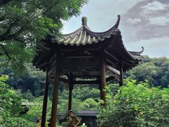 -云溪植物园